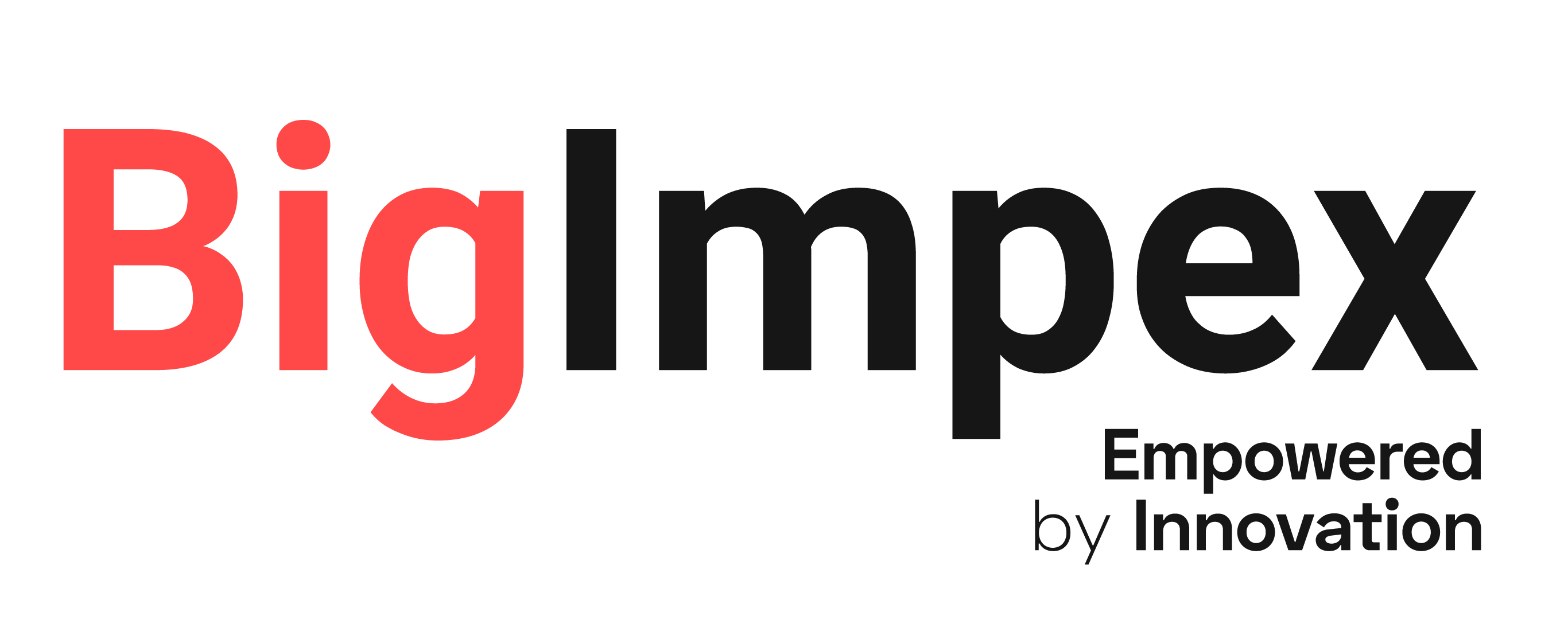BigImpex Logo