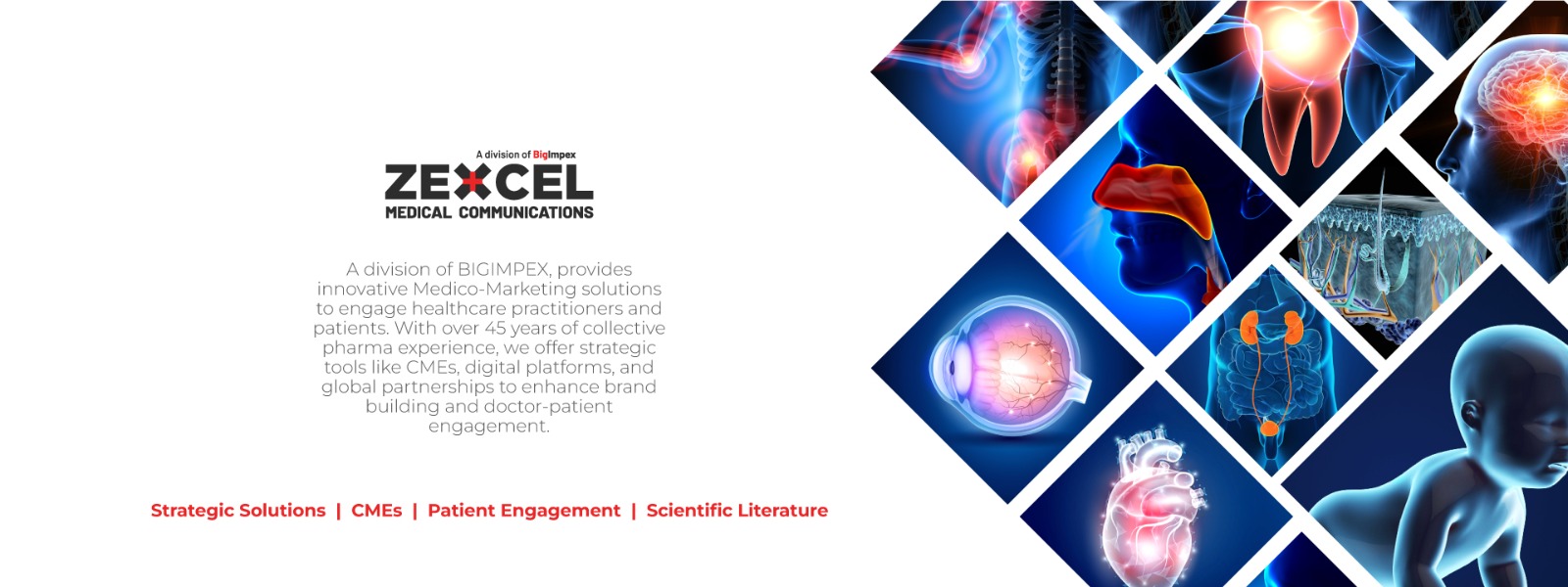 Zexcel Medical Communications - banner